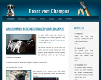 Boxerzwinger vom Champus